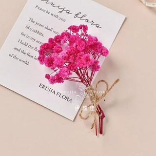 幹花墻面裝飾牆上掛件，高級感真花鬆果樹枝植物標本，背景牆墻飾貼墻, F-28