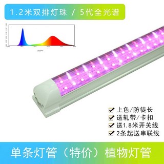 태양벨식물등 LED 재배 식물조명, 1개