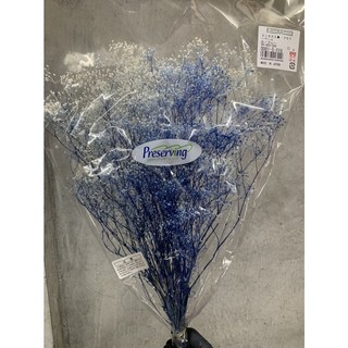 日本大地農園 00015不凋迷你滿天星草-漸層乾燥花，原裝把乾燥花材，DIY花藝設計首選, 016 藍白漸層