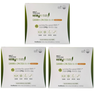 비에날씬 BNR17 [본사출고] 프로틴, 560g, 3개