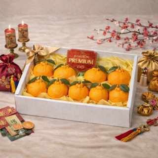 [VVIP선물세트] 백화점용 천상의맛 제주한라봉 과일선물세트, 1박스, 3kg(선물박스)