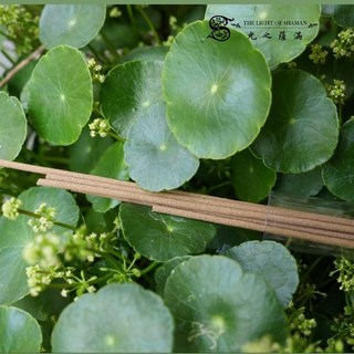 光之薩滿 頂級香品 修多羅香 內含100%真正龍涎香粉 天然淨化線香, 小盒透明管5g