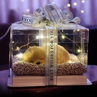 生日禮物 女生閨蜜情人節禮物 學生18歲紀念 實用創意聖誕節禮物, 小拉布拉多禮盒18*18*12cm, 1個