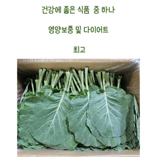 [임가네농산] 케일 국내산 케일 케일1박스 쌈용 쌈케일 2KG 특수야채 케일, 1개