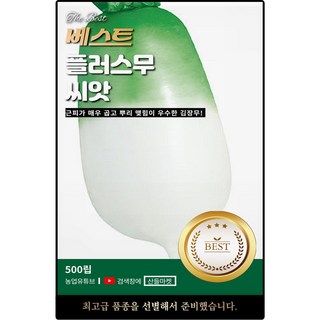 베스트 플러스 무 씨앗 500립 근피 곱고 상품성이 좋은 김장 무씨 종자, 1개