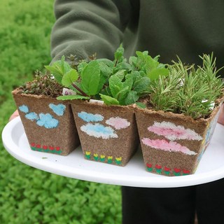 허브 화분 만들기 키트 (사각화분 6개 제작 가능)