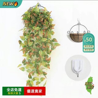 A14 變色木一束和棕櫚掛籃, 1個