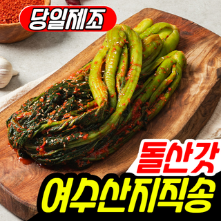 [돌산산지직송] 당일제조 국내산 전라도 여수 돌산 갓김치, 1개, 1kg