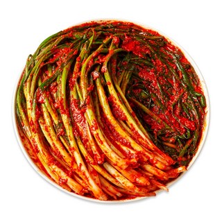 맛장군 오늘담근 파김치, 1개, 3kg