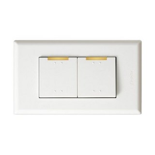 【大林電子】雙開關 生活系列 士林電機 開關附蓋板 L9-1200, 1個