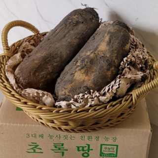 10년째 무농약 국산 흙연근 1kg 3kg 5kg [초록땅], 1박스, 상품흙연근 1kg