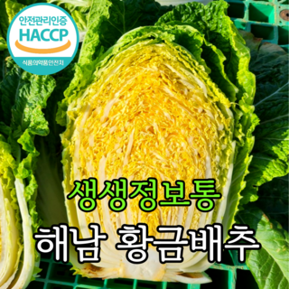[HACCP인증]황금배추 해남 절임배추 20kg 90일 라이코펜함유, 필수추가사항에 희망도착일 입력, 1박스