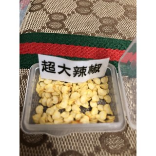 Gigi生活館 超級長辣椒，正宗辛辣風味，辣椒愛好者必備, 1個