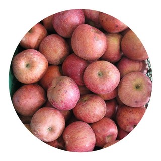 [초특가 꿀사과] 경북 산지직송 가정용 주스용 못난이 경북 사과, 10kg(대과), 1개