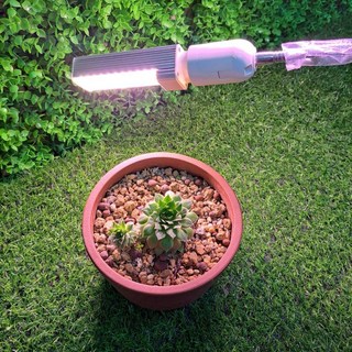 促銷20組賣完調漲（夾式） 植物燈 植物生長燈 E27植物燈 多肉植物燈植物補光燈 全光譜燈