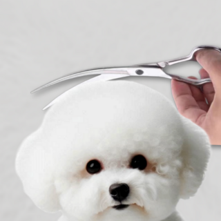 요아트 곰돌이컷 곡선 강아지 미용가위, 1개