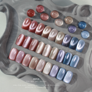 [오늘출발] 프롬더네일 신상자석젤 세피아+루미화일, 1개, 10ml, FG223