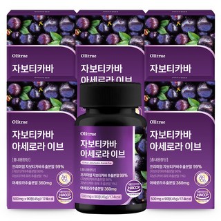 자보티카바 아세로라 고함량 HACCP인증, 6개, 90정