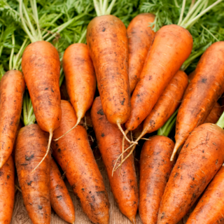 [3차완판] 산지직배송 새벽수확 아삭달큰 제주당근, 1박스, 3KG