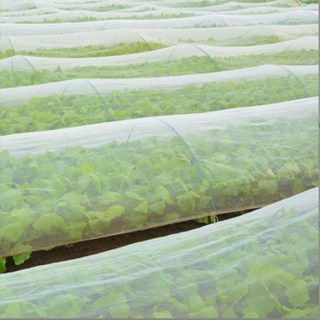 MS4U 한랭사 해충방지 방충망 농작물보호망 2m x 20m, 1개