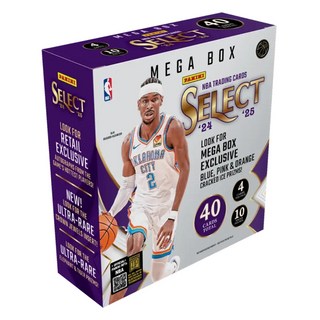Panini NBA Select Mega Box 2024-25 籃球卡盒 現貨 抽超限量 紋 斑馬, 1個