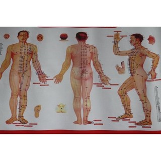 人體經絡穴位圖 艾灸按摩參考圖 經絡走向穴位清晰標示 自我保健按摩指導, 經絡圖-男圖, 1個