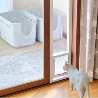 프리미엄 높이조절 베란다 펫도어 2세대 고양이 강아지 출입문 안전문 방묘문 캣도어 개문 견문, 중형 3호 (150cm ~ 232cm), 1개