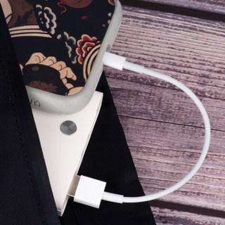 iPhone充電線 20cm 蘋果充電線 行動電源專用 台灣現貨, 【白色】Lightning, 1個
