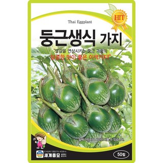 세계종묘 둥근생식 가지 씨앗 50립 이색 가지씨 종자, 1개