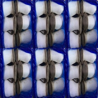 도담농산 새송이버섯 12kg 직접재배 당일배송 당일수확, 1개, 한박스 새송이 12kg(끝판왕)