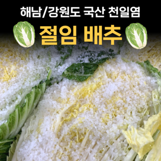 산지직송 잘절인 절임배추 해남 강원도 고랭지 국산 소금 천일염 직거래 3kg 10kg 20kg 양념장 양념세트, 2.해남_절임배추20kg