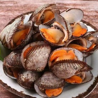 [쫄깃끝판왕]당일조업 신선한 벌교새꼬막 산지직송, 1세트, 1kg 특대사이즈