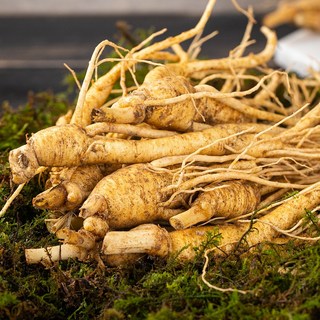 금산 인삼 가정용 파지 인삼 1kg 500g 믹서삼 오쿠삼 막삼 수삼 삼계삼 파삼 실속삼 식당용 요리용 백숙 홍삼 제조용 인삼차, 1YFM_금산 파지막삼 무세척 1kg, 1개