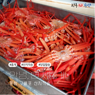 [진무수산]포항 구룡포 산지직송 가성비 좋은 홍게 2K 3K 4K, 1개, 가성비 3k (7-12미)