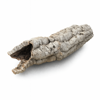 뉴런 코르크튜브 소사이즈 파충류유목, 30cm