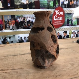 牛樟芝椴木子實體培養用牛樟木 擺件Ty89