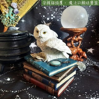 守護貓頭鷹 • 魔法許願珠寶盒/收納盒/首飾盒/飾品盒 ＊雕塑 雕像 擺飾＊居家裝飾 拍攝道具, 1個