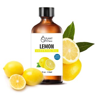 닥터월드 대용량 천연 에센셜 오일 118ml 21종 아로마 테라피 마사지 디퓨저 비누 만들기, 뷰티 레몬 천연 에센셜오일 118ml