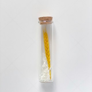 試管乾燥花 畢業禮物 畢業花束 母親節 康乃馨 許願花瓶 願望瓶飾, 金色小麥（不含禮盒）