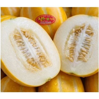 [양심판매] 초특가 성주참외 꿀 참외, 1박스, 1kg (랜덤)