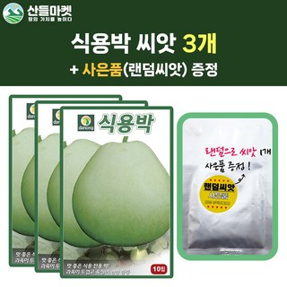 산들마켓 식용박 씨앗 10립 식용박씨 채소 종자 3개+랜덤씨앗1개 증정, 1개