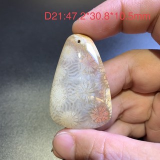珊瑚玉菊花石吊墜 D21 全透光 57.2*30.8*10.5mm