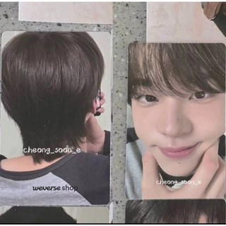 寶藏 正版雙面卡套 TWS吐司造型 申惟SHINYU小卡 mini3 wvs直播卡適用 迷你可愛