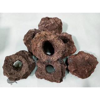 金金水族 紅火山岩洞 (7-14cm) - 高孔隙培菌石 淨化水質 水族箱造景/躲藏, 1個, 尺寸約11~14 cm,一顆