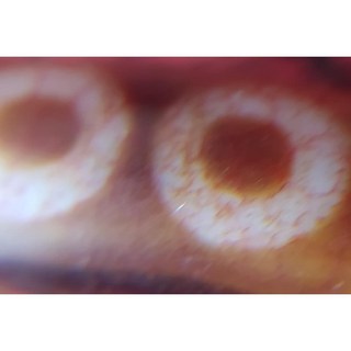 5眼天珠《火供龍麟白瑪瑙 鑽切黑瑪瑙 》手圍18cm 男女天珠/手珠/手鍊