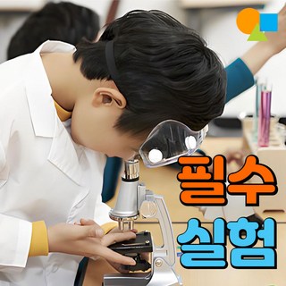 4학년이 꼭 해봐야 할 실험 12종 / 2025개정 초등과학교과서 필수실험모음 선물