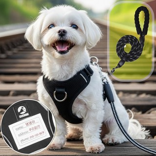 코코노피 명찰 강아지 하네스 목줄 중형견 대형견 리드줄 산책줄 세트, 레드, 1개