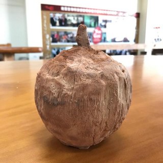 祐全生技牛樟木風化木 寶瓶 木製藝術擺件 YT 67-70, YT 69