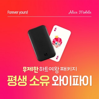 [연장전용] KT 포켓 와이파이 반납없이 LTE 완전무제한 데이터 휴대용와이파이, 기존 기기 연장, 1개월, 1개