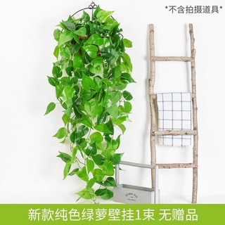 【Sunday】仿真綠蘿壁掛 客廳綠植裝飾 垂吊塑膠假花藤條 室內植物綠葉藤蔓吊蘭盆栽 黃金葛過膠壁掛, 新款素色綠蘿吊蘭1束, 1個
